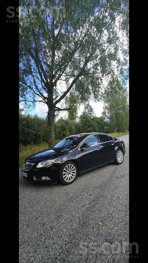 2009 Opel Insignia 2