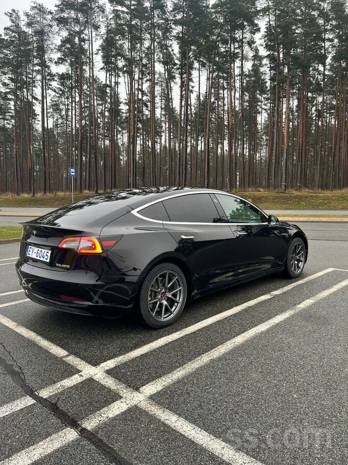 2019 Tesla Model 3 2