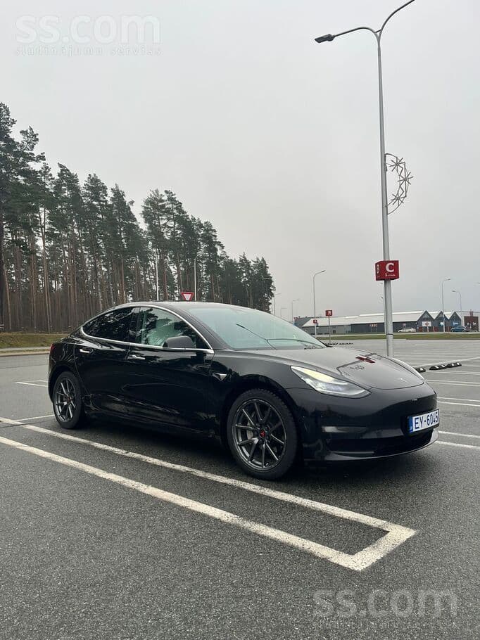 2019 Tesla Model 3 3