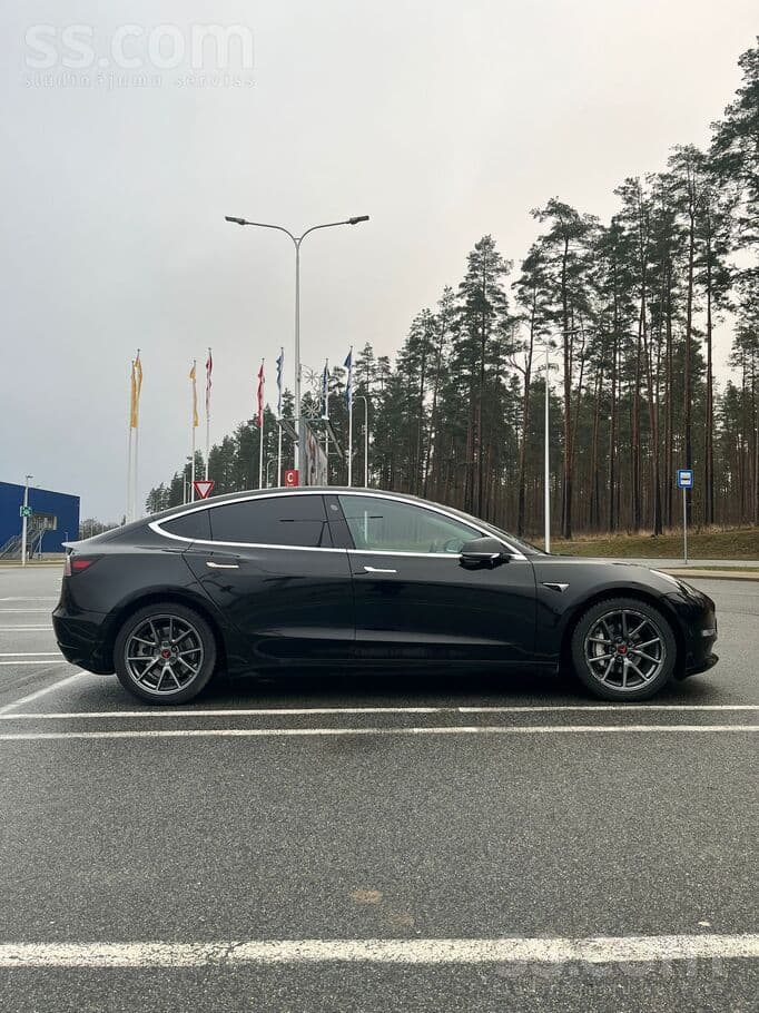 2019 Tesla Model 3 5