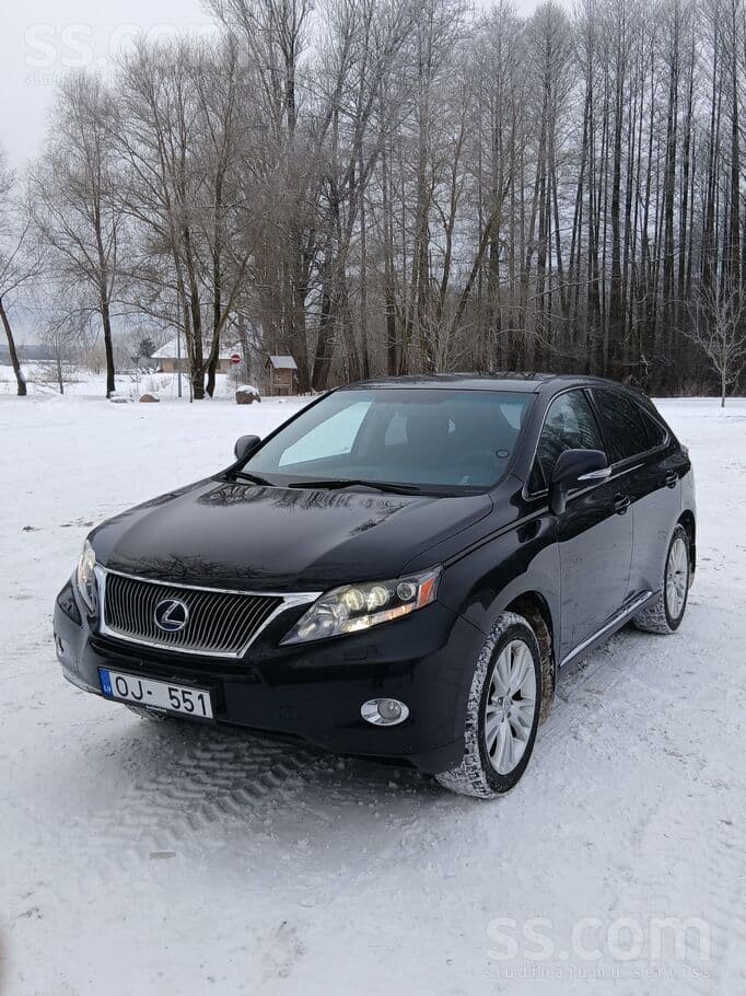 2010 Lexus RX