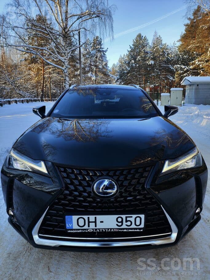2021 Lexus UX