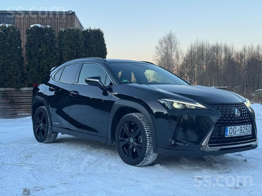 2021 Lexus UX