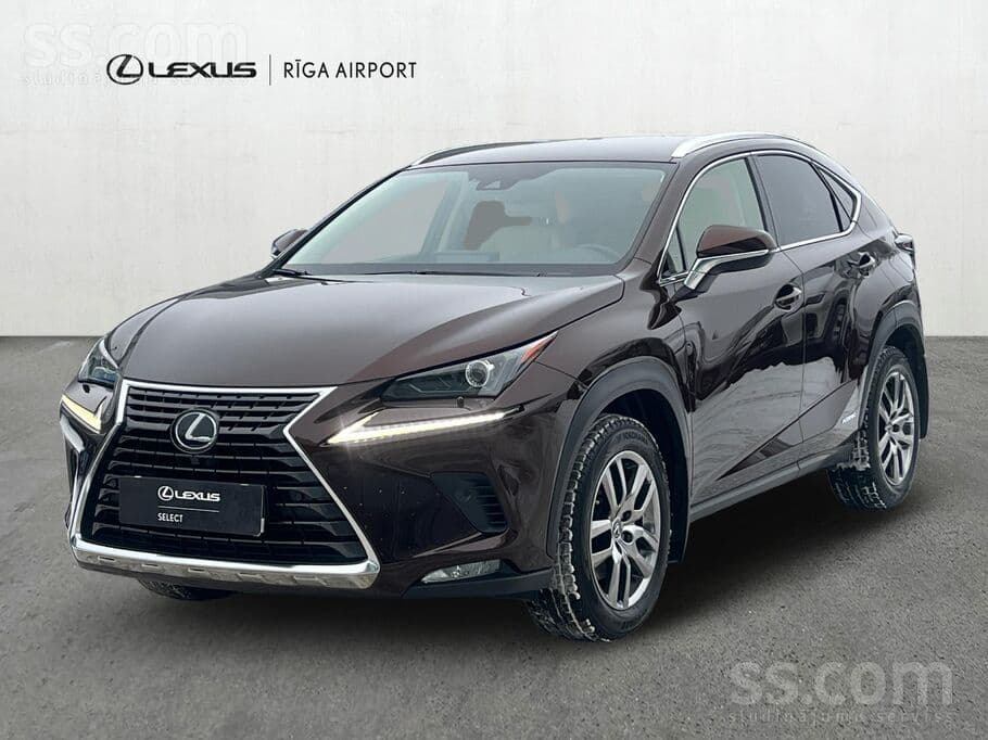 2019 Lexus NX