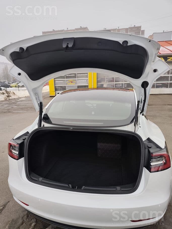 2021 Tesla Model 3 3