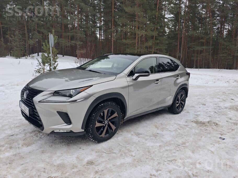 2019 Lexus NX 2