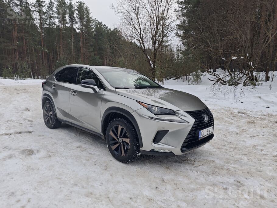 2019 Lexus NX 3