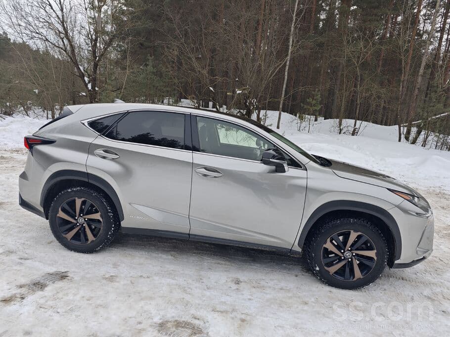 2019 Lexus NX 4