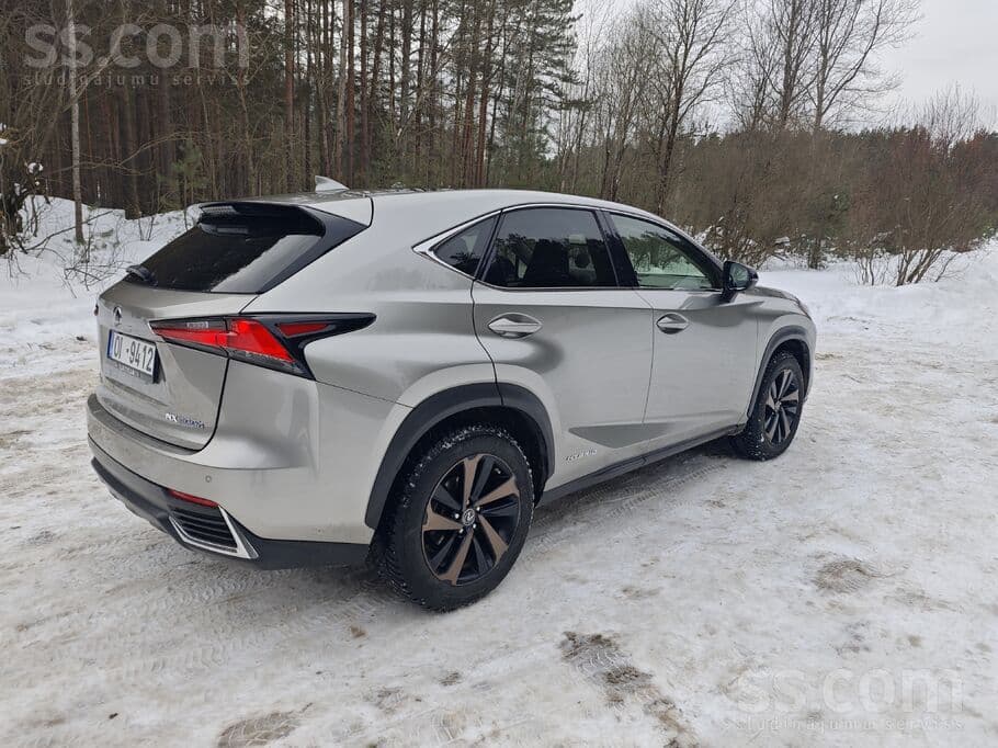 2019 Lexus NX 5